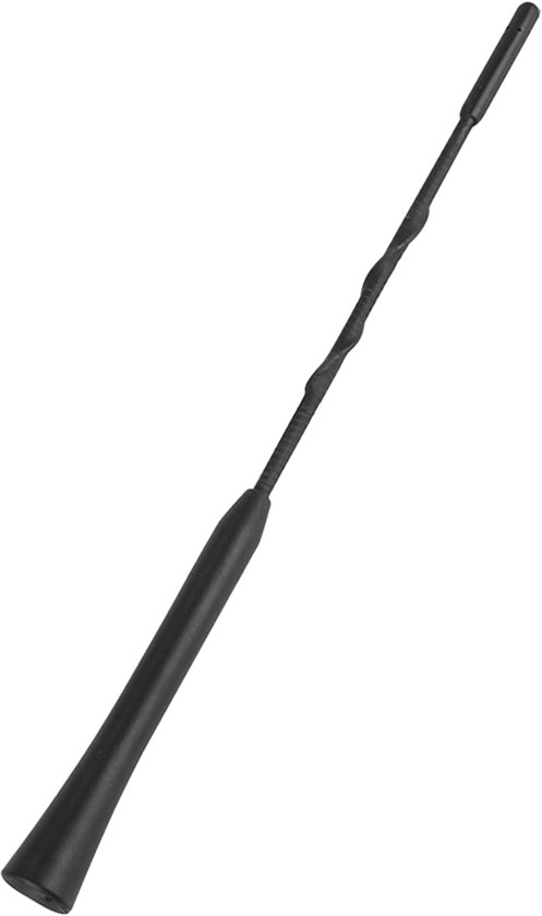 BLOW Autoradio Antenne Mast + 2x Draadverloop - FM/AM - 24cm - M6 - URA202