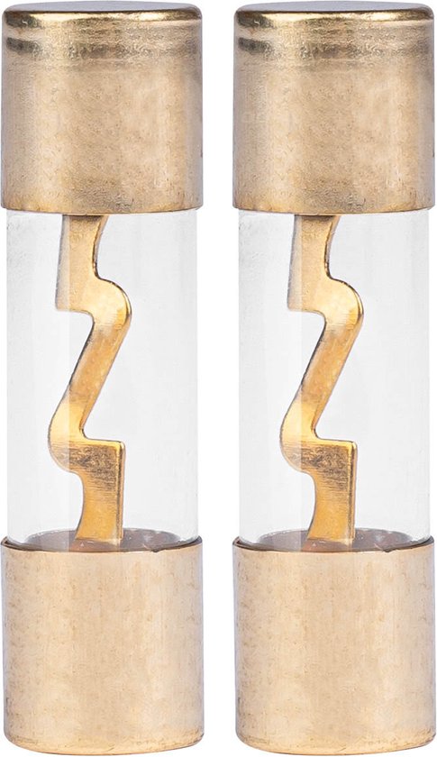 AMiO AGU Auto Glaszekering 20A Glass Fuse Zekering (set 2 stuks)