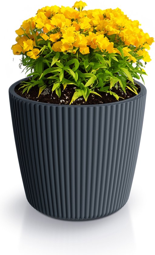 Prosperplast Plantenpot/bloempot Buckingham - buiten/binnen - design kunststof - antraciet - D19 x H17 cm