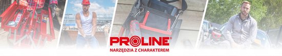 Proline Torx T7 Bit Schroevendraaier 1/4" 25mm - Duurzaam & Precisie