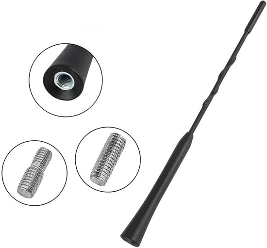 BLOW Autoradio Antenne Mast + 2x Draadverloop - FM/AM - 24cm - M6 - URA202