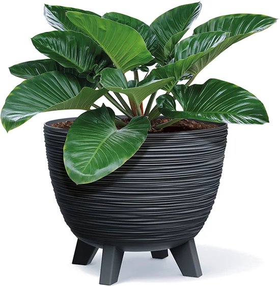 Prosperplast Furu Eco Wood-Naturo - Bloempot met pootjes / Plantenbak - UV-bestendig ⌀ 395mm - Antraciet