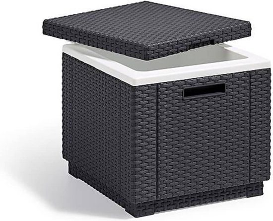 Allibert Ice Cube – 42x42x41cm - Grafiet