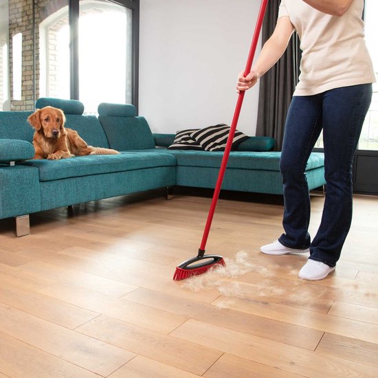 Vileda PetPro Always Clean Bezem - Gemakkelijk dierenhaar opvegen
