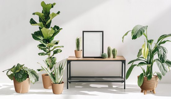 Prosperplast Plantenpot/bloempot Buckingham - buiten/binnen - design kunststof - antraciet - D19 x H17 cm