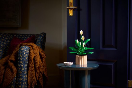 LEGO Botanicals Lepelplant - Bloemen Decoratie Bouwpakket voor Volwassenen - 11504