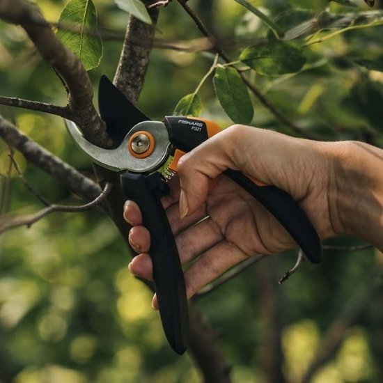 Fiskars Snoeischaar - P321 Bypass Takkenschaar - Maat M - Tuinschaar - Softgrip Handvat - Tuingereedschap