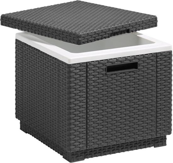 Allibert Ice Cube – 42x42x41cm - Grafiet