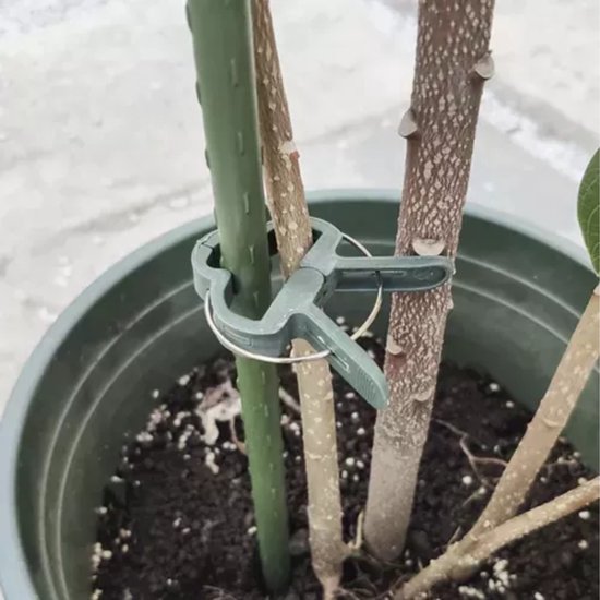 Gardlov Plantenclips Set van 108 - Perfecte Ondersteuning voor Uw Tuin