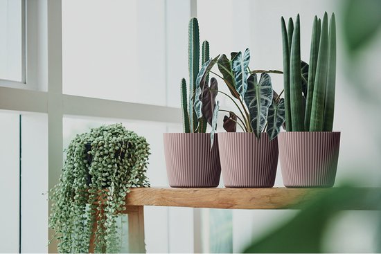 Prosperplast Plantenpot/bloempot Buckingham - buiten/binnen - design kunststof - antraciet - D19 x H17 cm