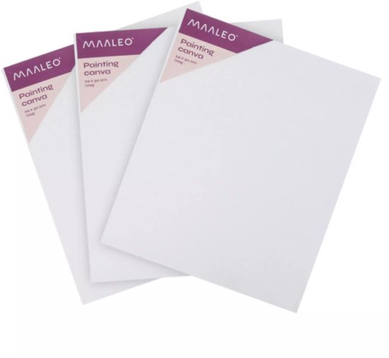 Maaleo schilderset 26-delig – complete acrylverf set met penselen, doeken en palet voor creatieve beginners en kunstenaars