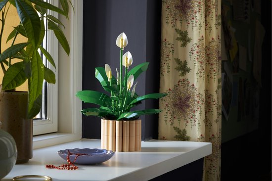 LEGO Botanicals Lepelplant - Bloemen Decoratie Bouwpakket voor Volwassenen - 11504