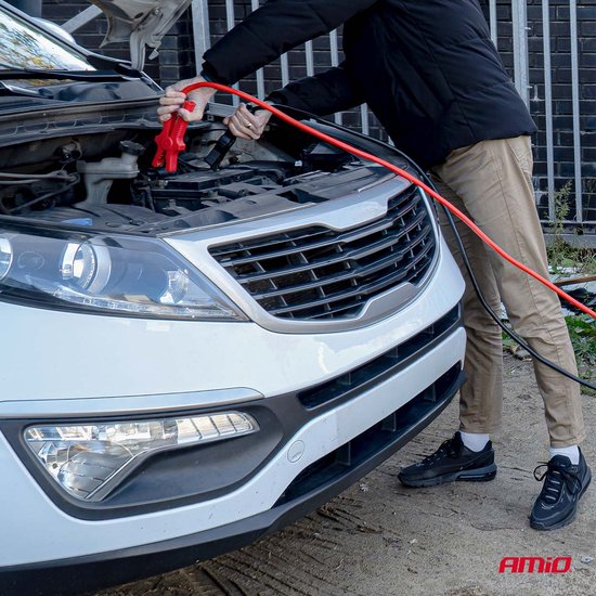 Booster Cables 220A 3m TÜV – Professionele Startkabels voor 12V Benzine Voertuigen