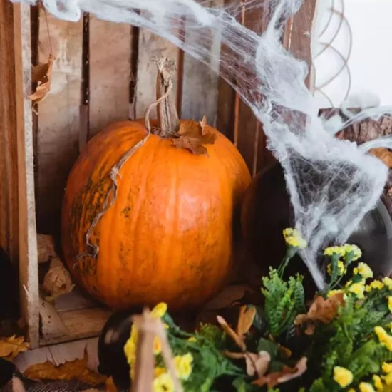 Malatec Kunstmatig Spinnenweb met 2 Spinnen - Perfect voor Halloween Decoratie