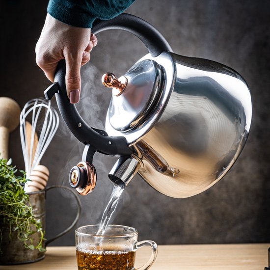 Klausberg 7776 - Fluitketel met fluit - 2.5 liter - RVS - Zilverkleurig