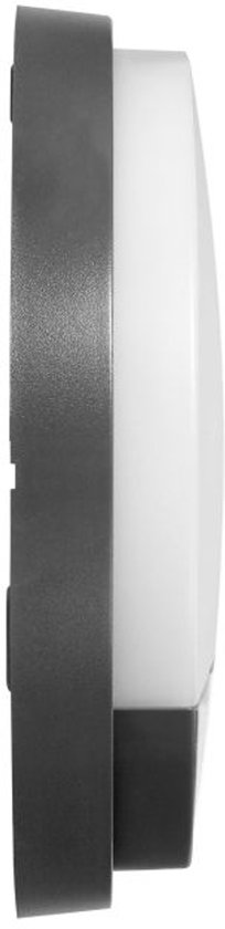 Buitenlamp met Bewegingssensor AGAT – Tuinverlichting 4000K – Buitenverlichting met IP54 - Muurlamp 1100lm – Wandlamp buiten IK08 - Antraciet