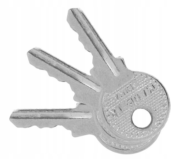 MEGA Messing Hangslot met Lange Beugel - 50mm - 3 Sleutels
