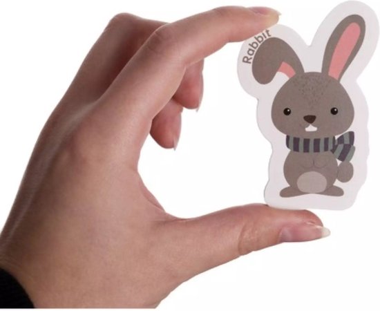 Kruzzel Magnetische Dieren: 40 Kleurrijke Educatieve Magneten