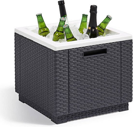 Allibert Ice Cube – 42x42x41cm - Grafiet