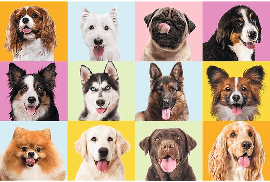 Trefl legpuzzel 60 stukjes - schattige honden - kleurrijk karton.