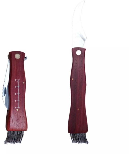 Ruhhy Voedseldroger 10L – Met LCD Timer en 5 Droogtrays Voor Champignons, Fruit en Groenten