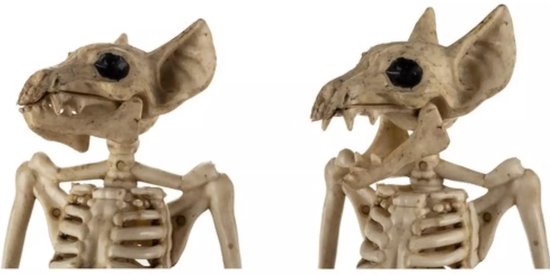 Malatec Vleermuis Skelet - Griezelige Halloween Decoratie - 30cm - Realistisch Ontwerp