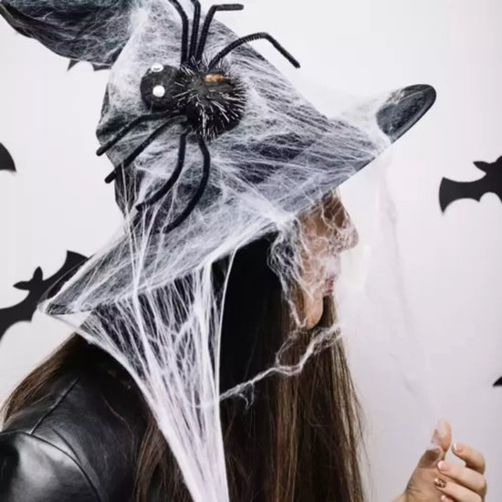 Malatec Kunstmatig Spinnenweb met 2 Spinnen - Perfect voor Halloween Decoratie