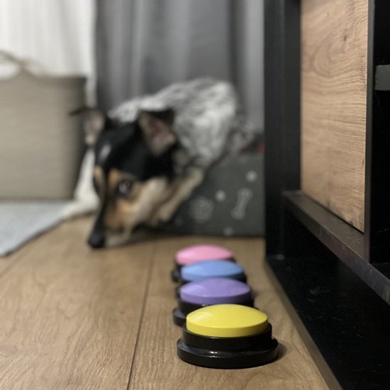 Druk knop voor Honden | 4 stuks | Helder geluid | Dogbuttons | Honden training | Honden Communicatie