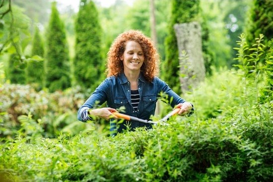 Fiskars 1023631 PowerGear X HSX92 Heggenschaar - 230mm