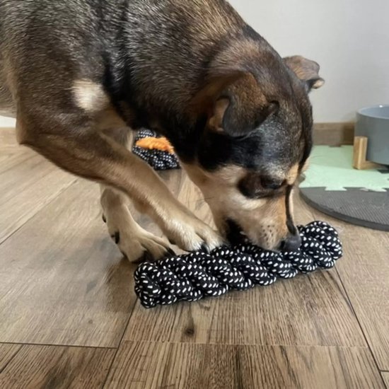 Purlov Hondenspeelgoed Set - 10-delig - Interactieve en Duurzame Speeltjes voor Honden