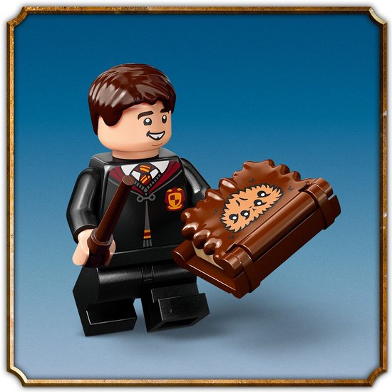 LEGO Harry Potter Het Monsterlijke Monsterboek Speelgoed - 76449