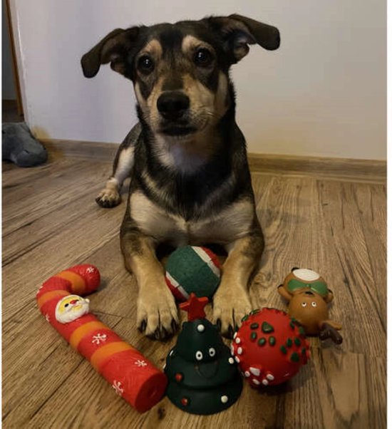 Purlov Kerstgeschenkset voor Honden - 6 Feestelijke Speeltjes - Veilig en Duurzaam