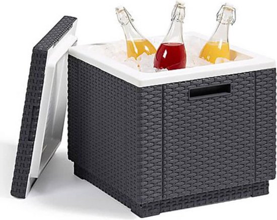 Allibert Ice Cube – 42x42x41cm - Grafiet
