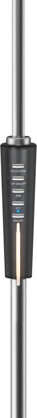 Rebel Light - Staande Lamp - LED - 12W - Dimmer - Verstelbare Kleurtemperatuur
