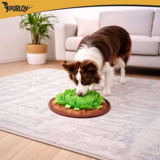 Purlov Grote snuffelmat voor honden en katten met antislip en verstelbaar trekkoord 48 x 48 cm