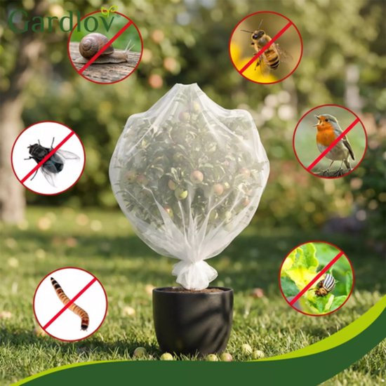 Gardlov Beschermnet 3 x 6 m wit HDPE fijn gaas tegen insecten en vogels voor moestuin
