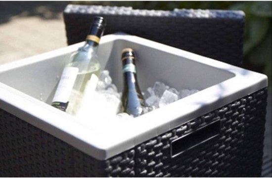 Allibert Ice Cube – 42x42x41cm - Grafiet