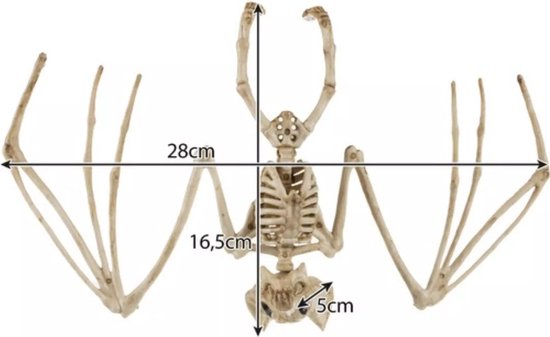 Malatec Vleermuis Skelet - Griezelige Halloween Decoratie - 30cm - Realistisch Ontwerp