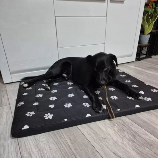 Purlov Hondenmand 100x70cm - Waterdicht - Geschikt voor Grote Honden