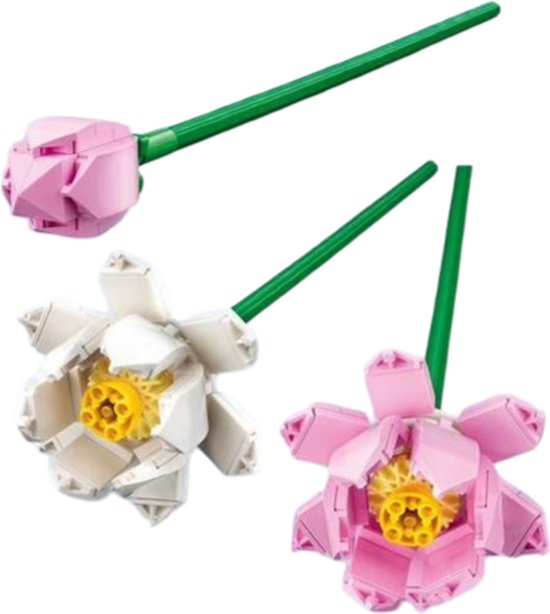 LEGO Iconic Lotusbloemen - Botanical Collection - 40647