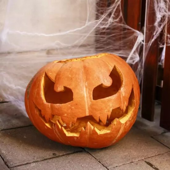 Malatec Kunstmatig Spinnenweb met 2 Spinnen - Perfect voor Halloween Decoratie
