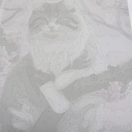 Maaleo Schilderen op Nummer 40x50cm Kitten - Ontspan en Creëer Kunst