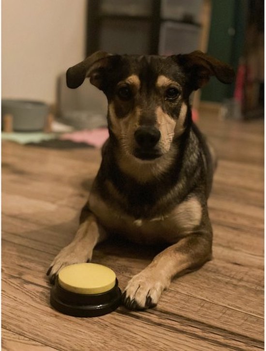 Druk knop voor Honden | 4 stuks | Helder geluid | Dogbuttons | Honden training | Honden Communicatie
