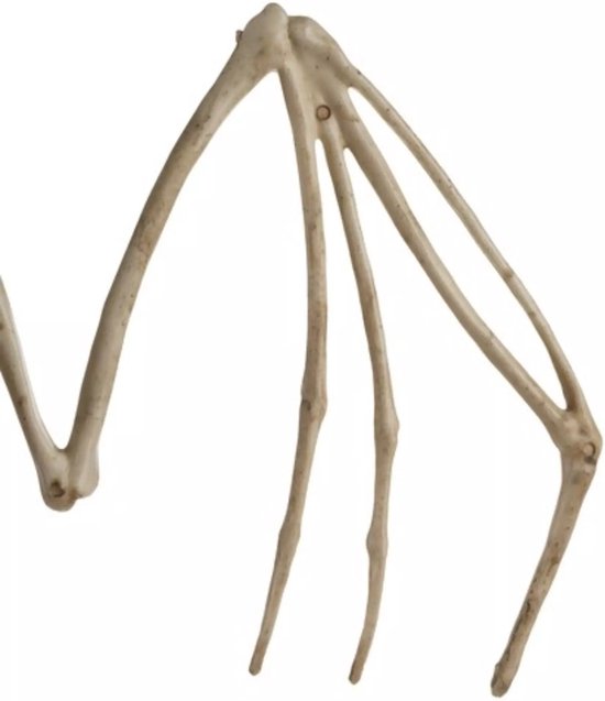 Malatec Vleermuis Skelet - Griezelige Halloween Decoratie - 30cm - Realistisch Ontwerp