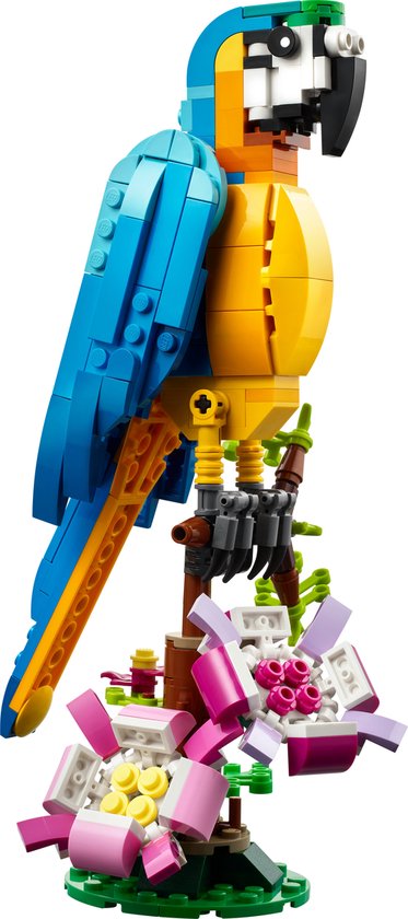 LEGO Creator 3in1 Exotische Papegaai - Kikker - Vis Dieren Speelgoed Set voor Kinderen - 31136