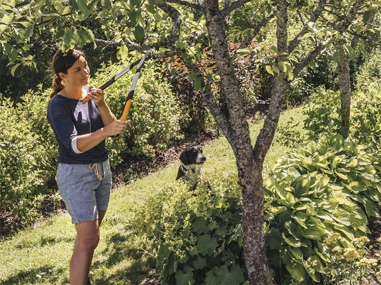 Fiskars PowerGear X Takkenschaar Bypass LX92 - S - 54 cm