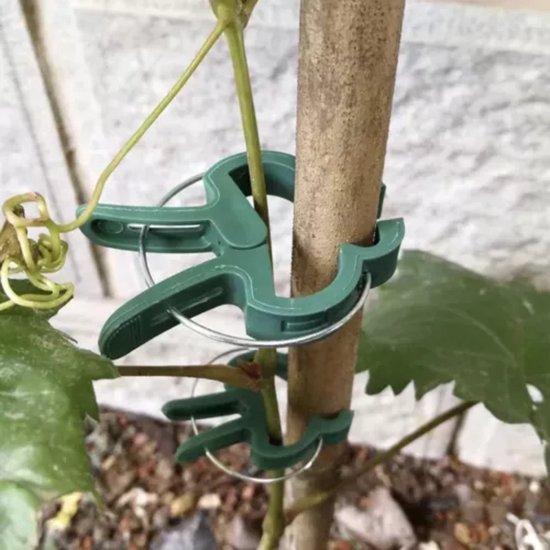 Gardlov Plantenclips Set van 108 - Perfecte Ondersteuning voor Uw Tuin