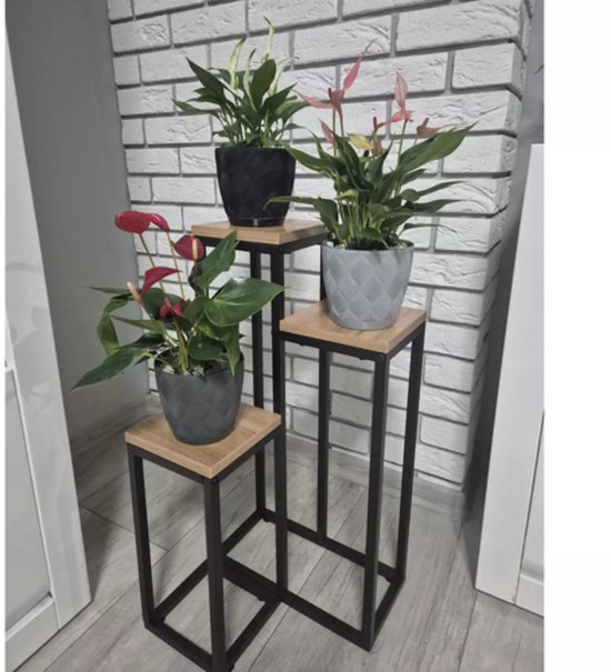 Ruhhy Plantenstandaard - 3 laags- metaal - vierkant - industriële stijl - modern - voor bloemen en planten