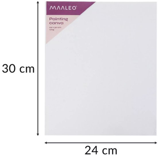 Maaleo schilderset 26-delig – complete acrylverf set met penselen, doeken en palet voor creatieve beginners en kunstenaars