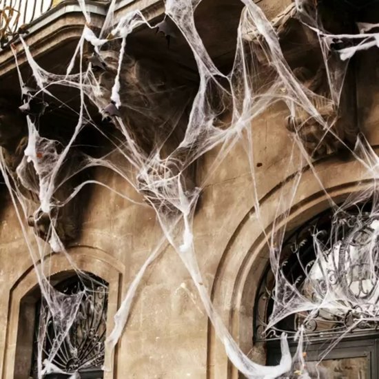 Malatec Kunstmatig Spinnenweb met 2 Spinnen - Perfect voor Halloween Decoratie